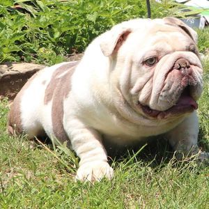 Meet your Posher, Jake